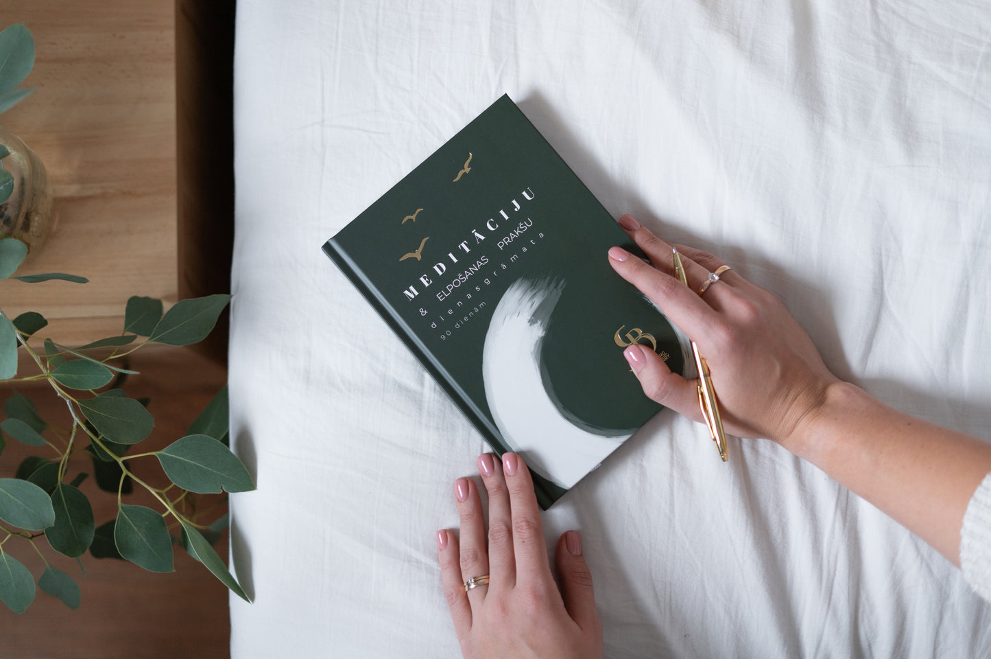 Meditāciju dienasgrāmata MEŽS + dāvanā 3 vadītās meditācijas