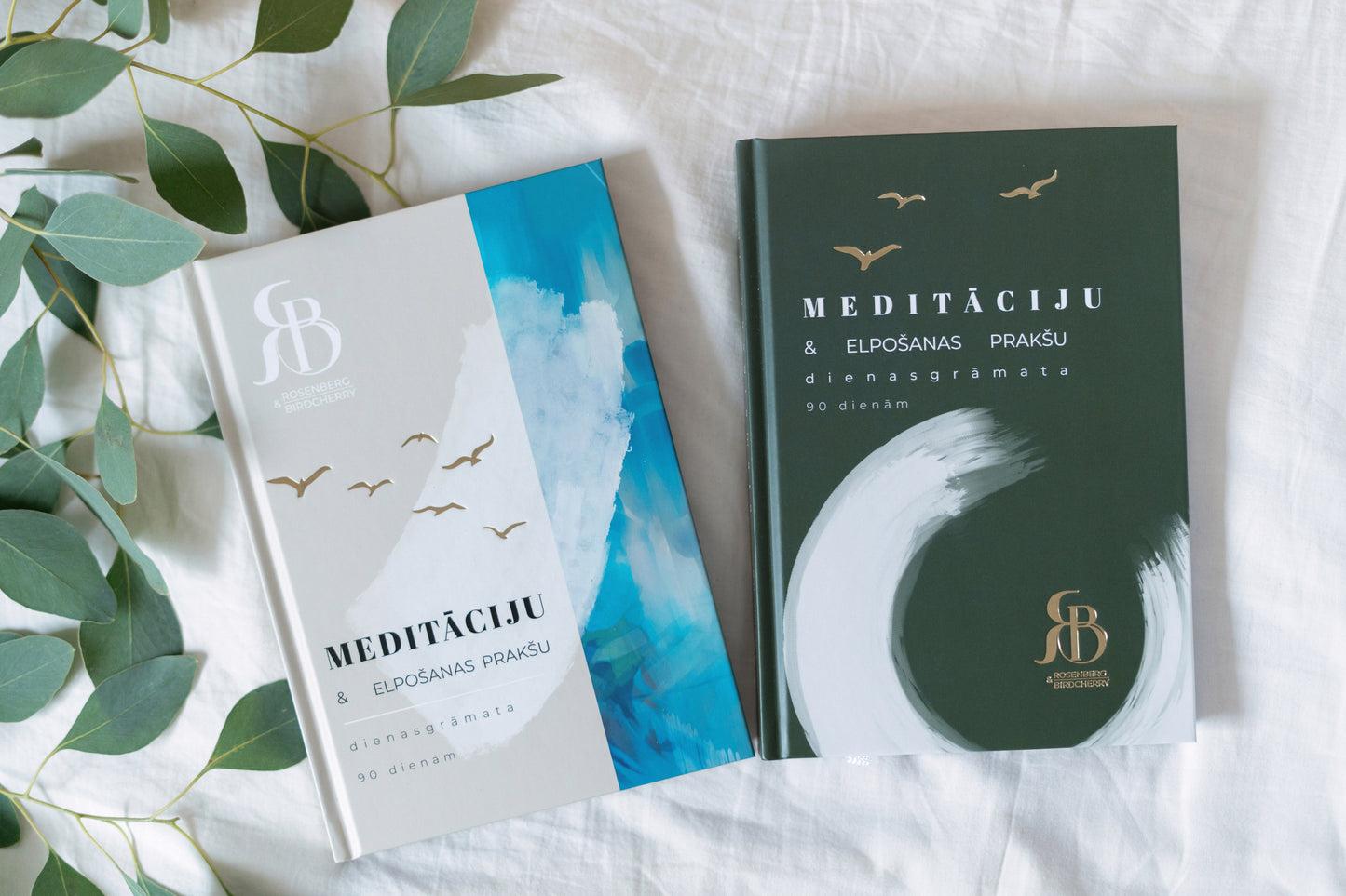 MEDITĀCIJU DIENASGRĀMATAS / DEBESIS + MEŽS & dāvanā 3 vadītās meditācijas